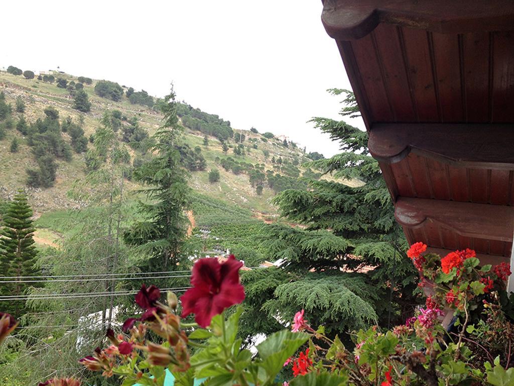 Mina Teva Villa Metula Exterior foto